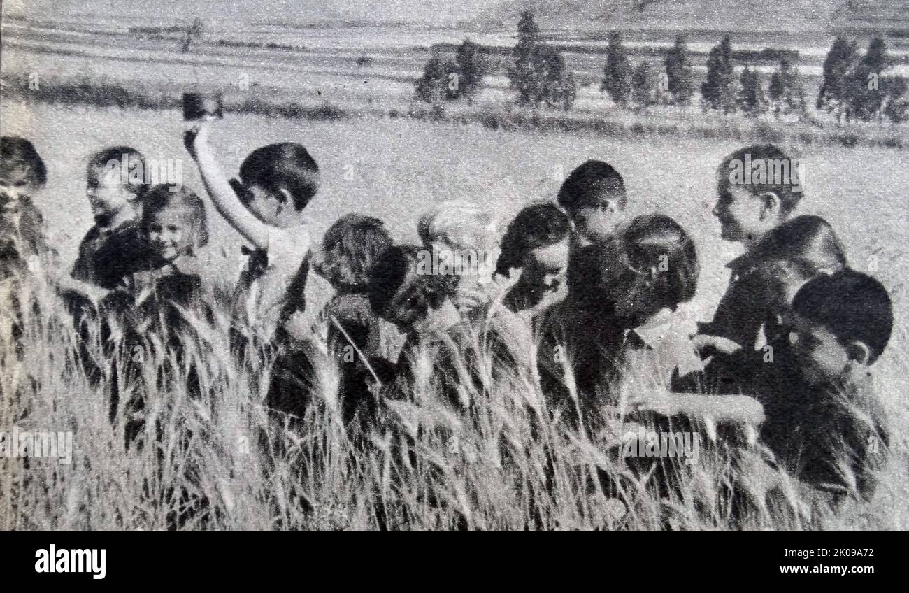 Refugee children in Palestine on a collective farm in the Plain of Jezreel near the river of Jordan. Stock Photo