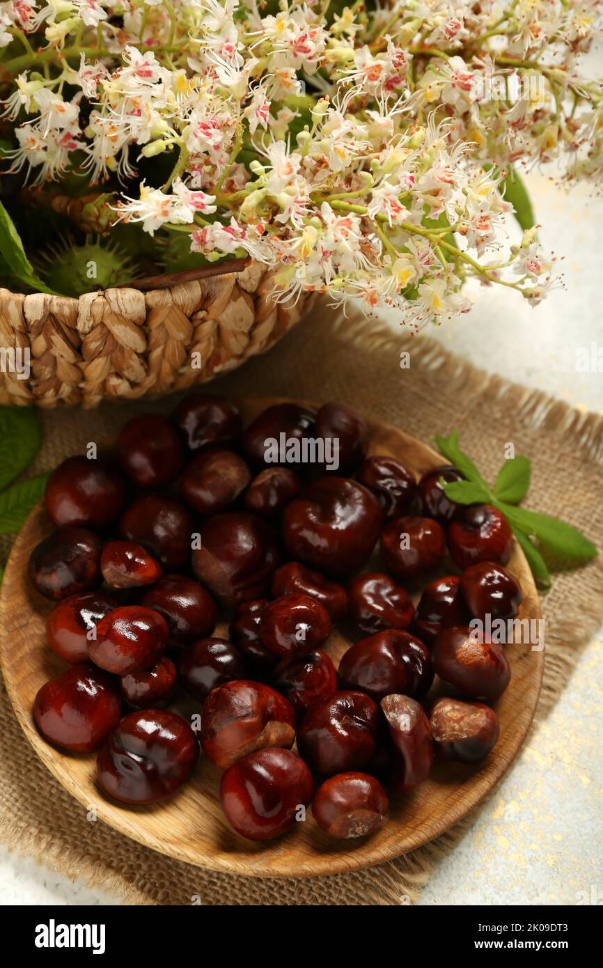 Plate with fresh chestnuts on light background, closeup Stock Photo