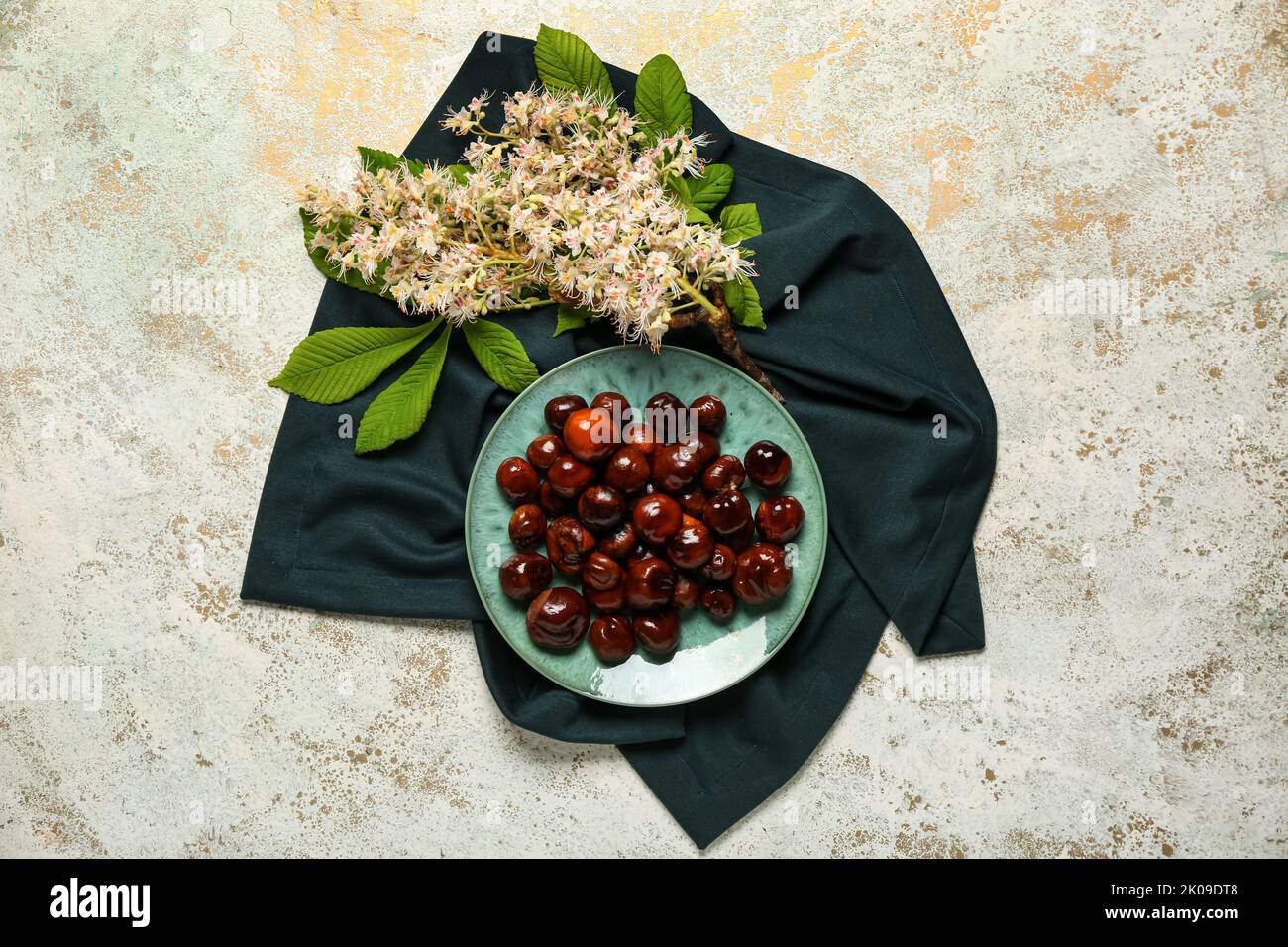 Plate with chestnuts and flowers on light background Stock Photo
