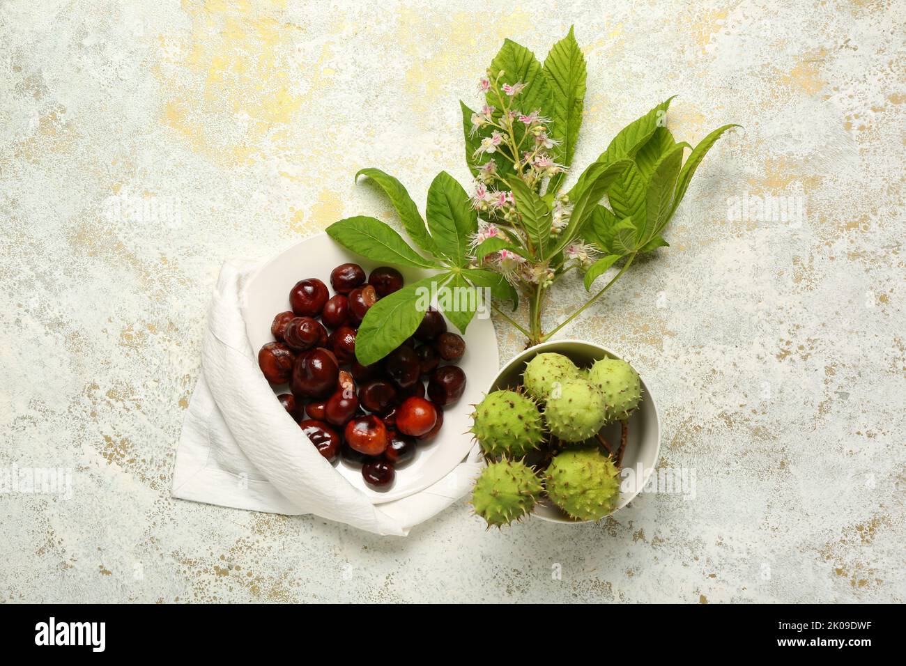 Plate and bowl with chestnuts on light background Stock Photo