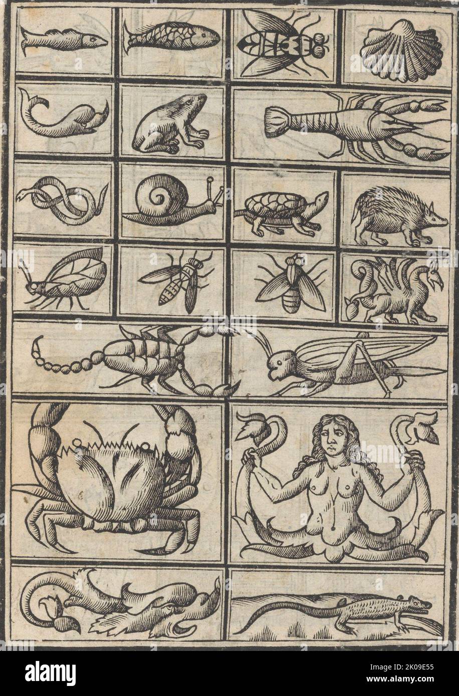 Trionfo Di Virtu. Libro Novo..., page 23 (verso), 1563. Stock Photo