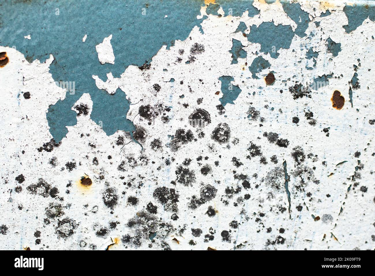 Grunge blue and white paint on metal. Peeling paint abstract background close up Stock Photo