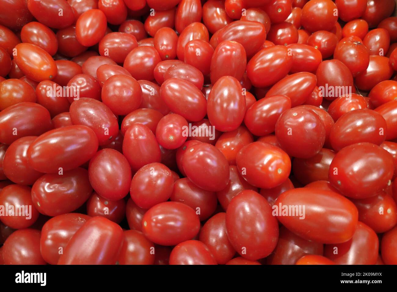 Close-up on a stack of red plum tomatoes a market stall. Stock Photo