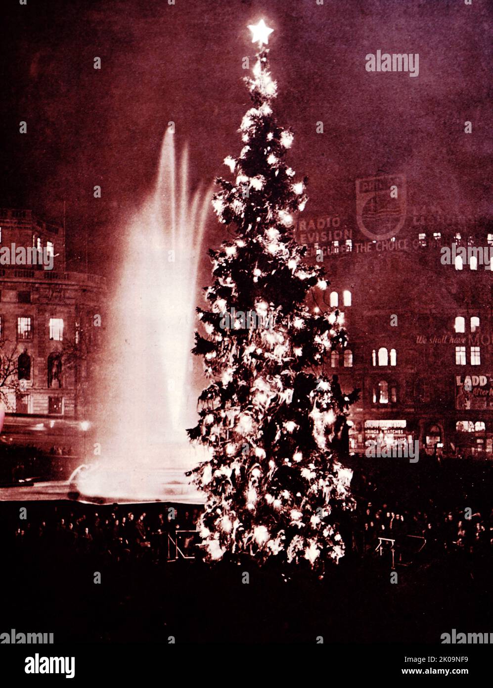 Norway's gesture of goodwill to London: The giant Christmas tree in Trafalgar Square, London. Stock Photo