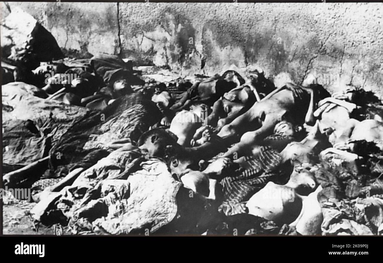 Corpses in the Armenian genocide. The Armenian genocide was the systematic destruction of the Armenian people and identity in the Ottoman Empire during World War I. Spearheaded by the ruling Committee of Union and Progress (CUP), it was implemented primarily through the mass murder of around one million Armenians during death marches to the Syrian Desert and the forced Islamization of Armenian women and children. Stock Photo