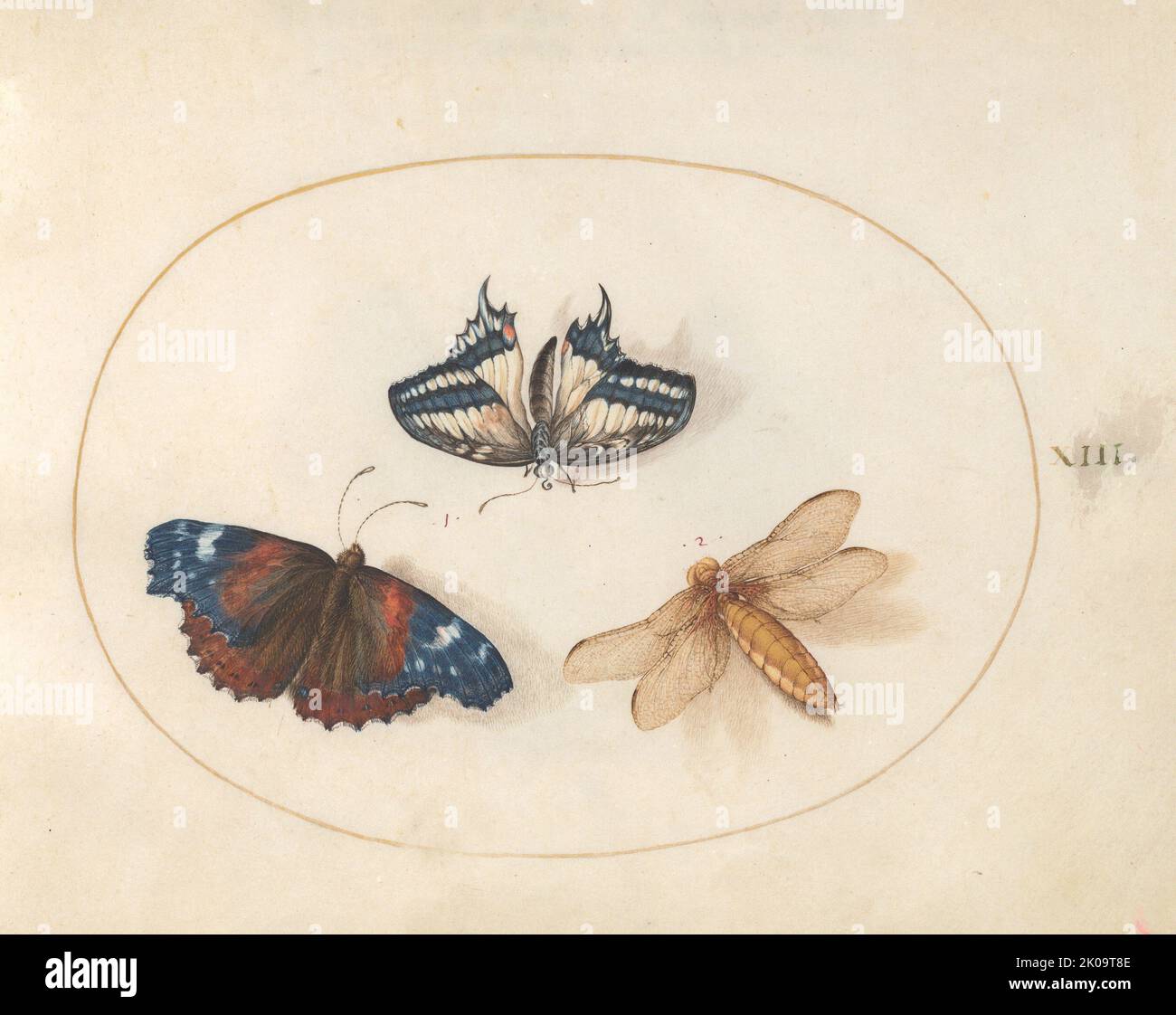 Plate 13: Two Butterflies and a Dragonfly(?), c. 1575/1580. Stock Photo