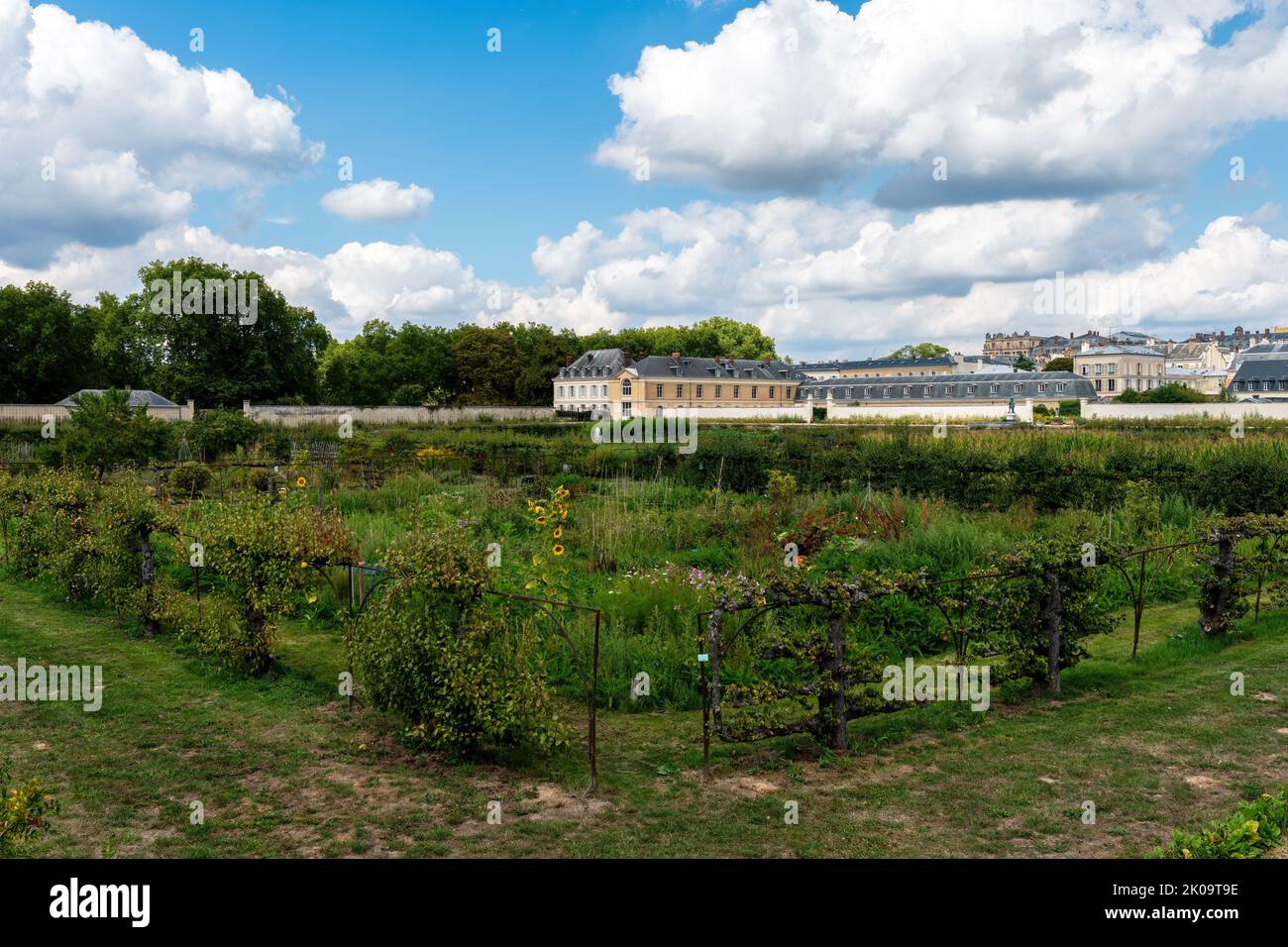 King's Kitchen Garden, Potager du Roi, in Versailles, France Stock Photo