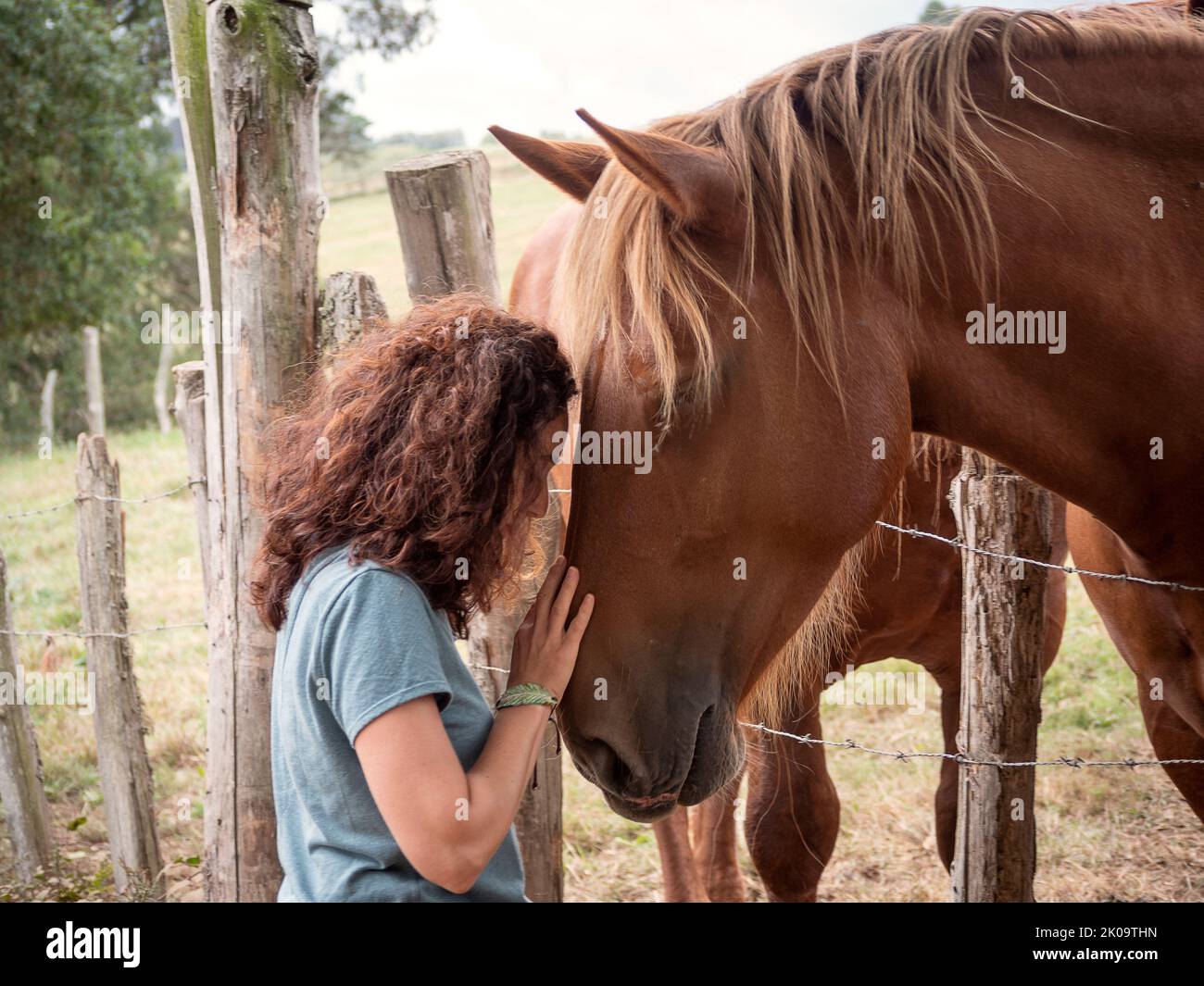 anxiety, care, caress, caucasian, coaching with horses, comforting