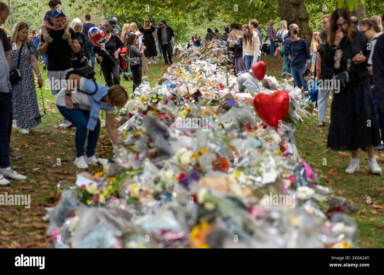 Members of the public gather to lay flowers in green park next to Buckingham Palace today after after the death of  Her Majesty Queen Elizabeth II Stock Photo