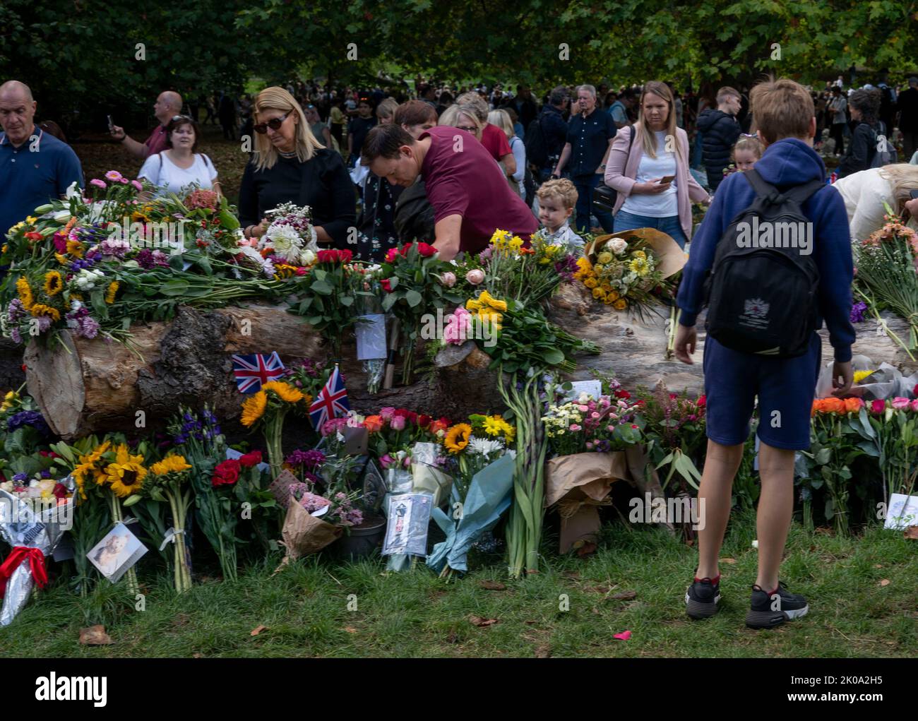 Members of the public gather to lay flowers in green park next to Buckingham Palace today after after the death of  Her Majesty Queen Elizabeth II Stock Photo