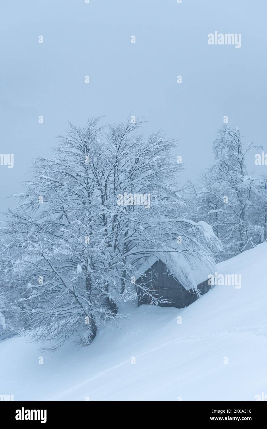 Winter view from forest wooden cabin in snow Stock Photo - Alamy
