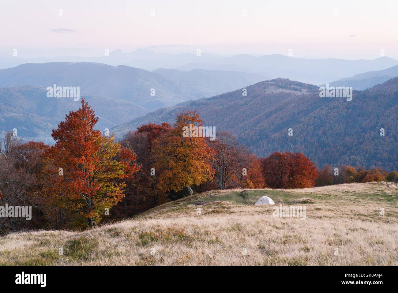 Autumn landscape with a tourist tent near a beech forest in the mountains Stock Photo