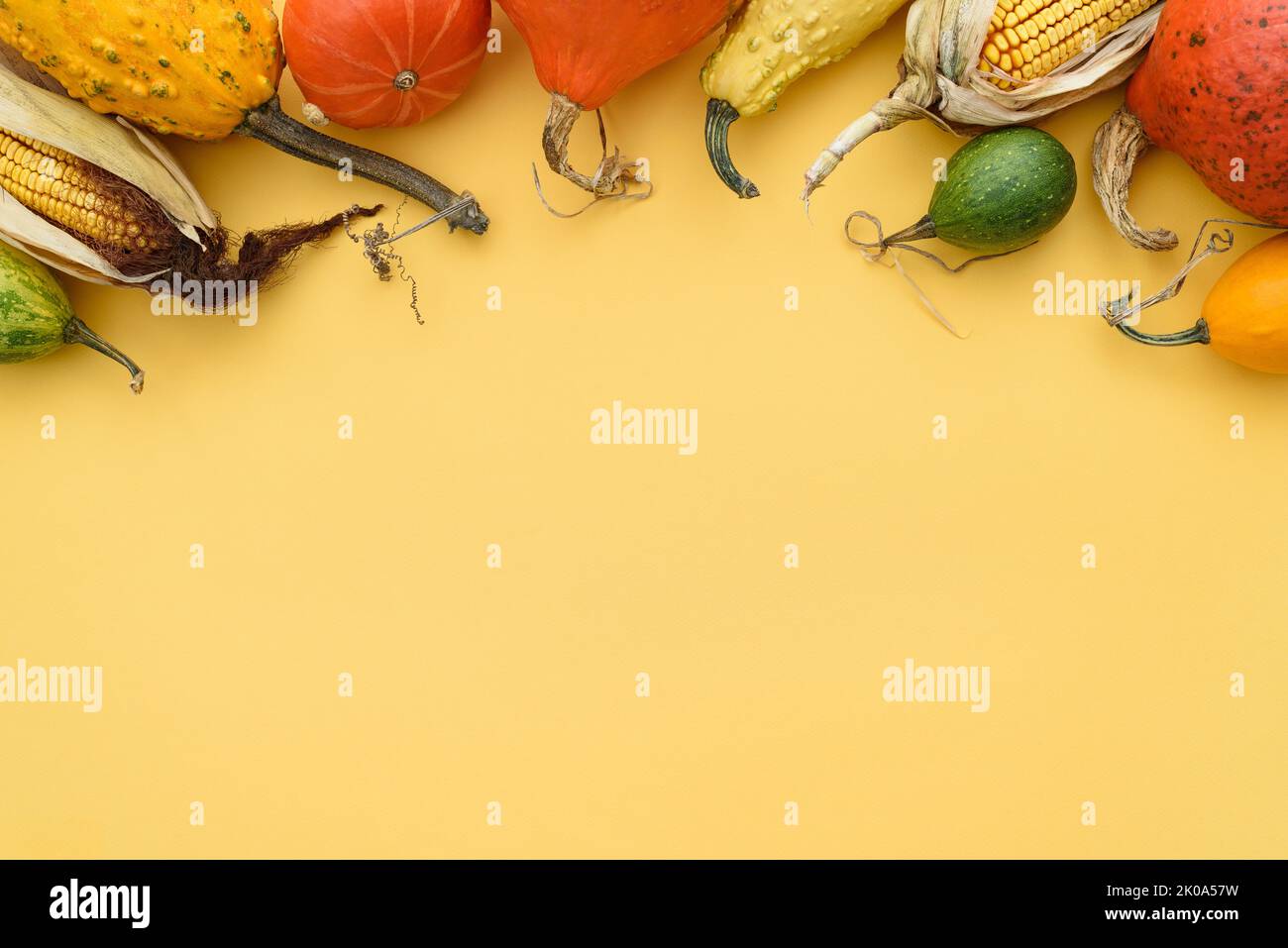 Harvest of winter squash and decorative gourds on yellow background with frame Stock Photo