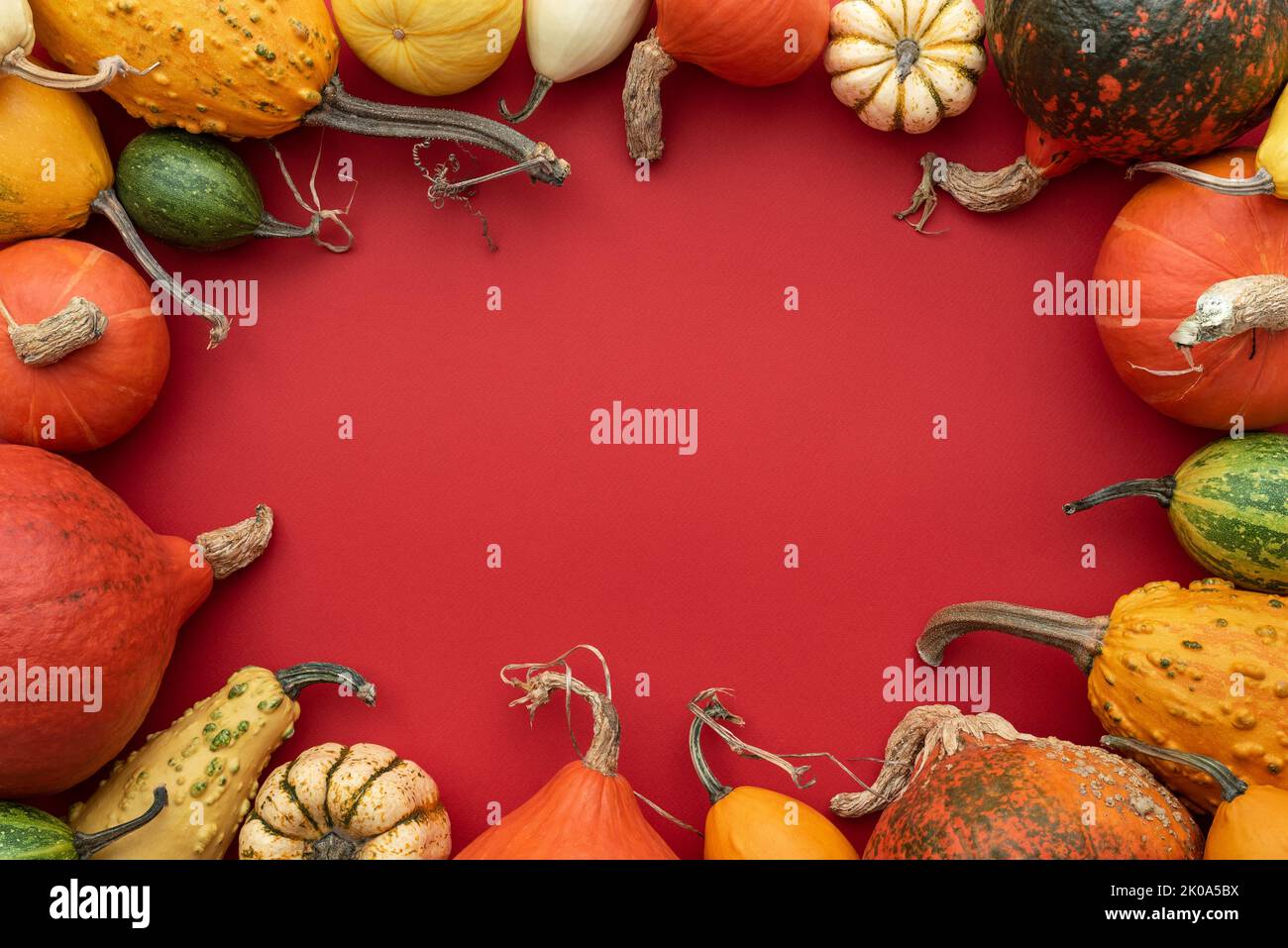 Thanksgiving day greeting card with pumpkin, decorative gourds and winter squash on red background with frame and copy space for text Stock Photo