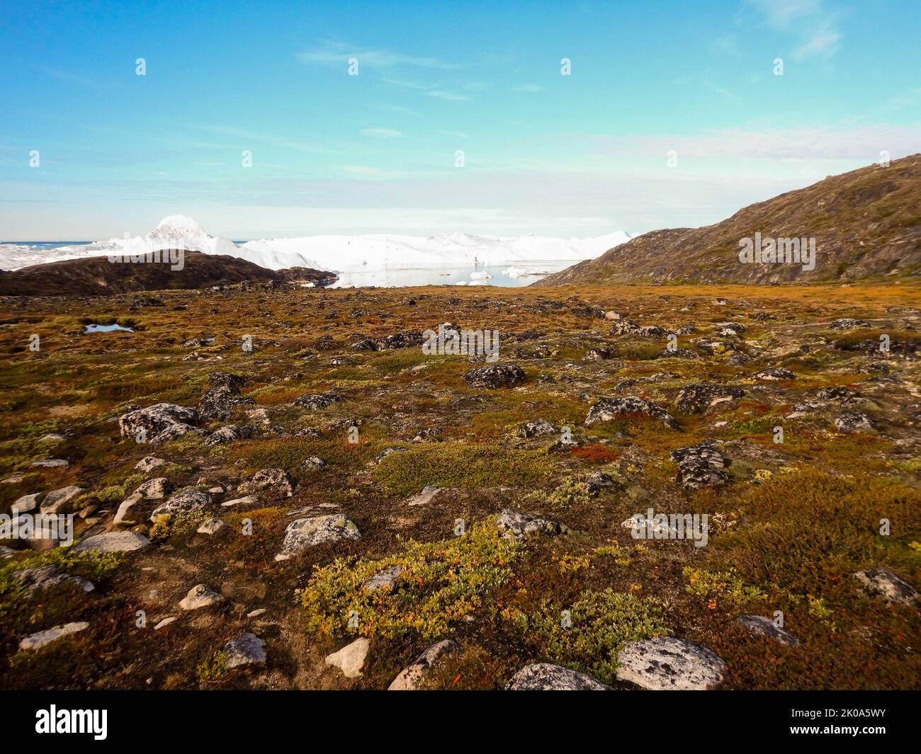 Landscape of summer tundra at Ilulissat Icefiord, Greenland. , a Unesco World Heritage Site. Stock Photo