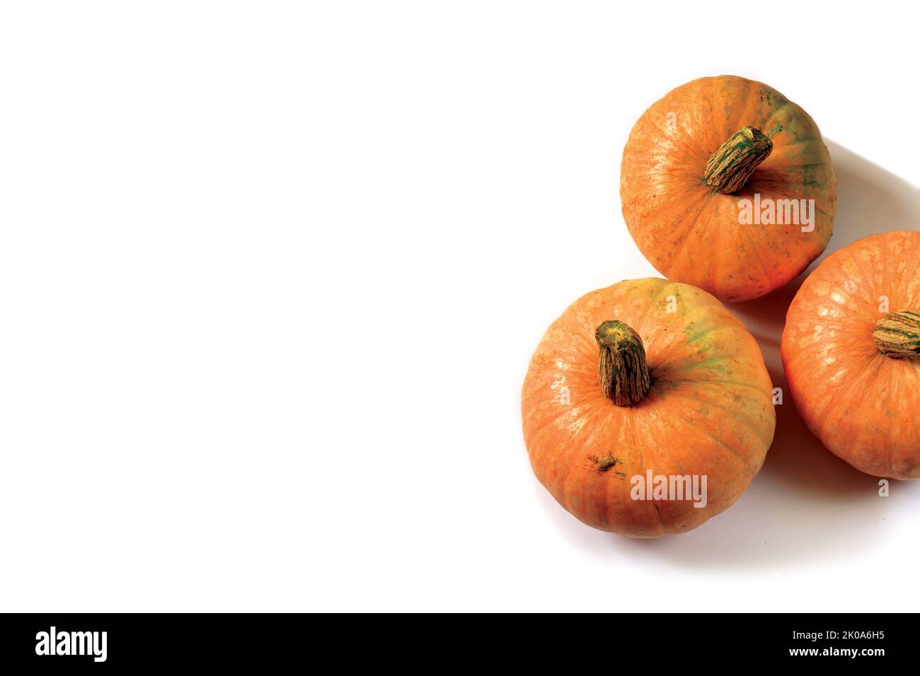 A banner with three orange pumpkins on a white background.  Stock Photo