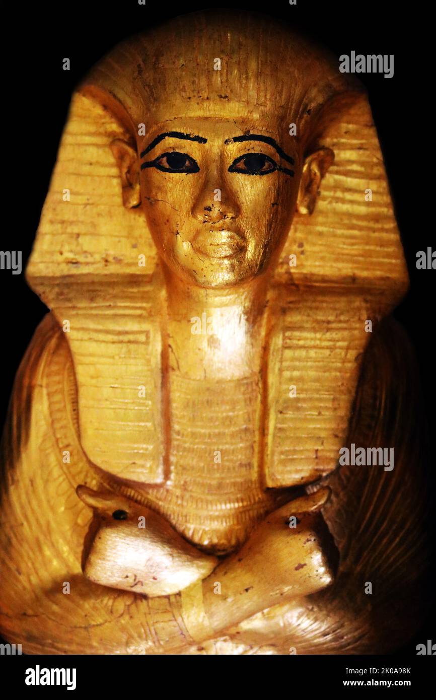 Small coffin contained lock of hair of Queen Tiy. Queen Tiye (c. 1398 BC - 1338 BC) was the daughter of Yuya and Tjuyu. She became the Great Royal Wife of the Egyptian pharaoh Amenhotep III. She was the mother of Akhenaten and grandmother of Tutankhamun Stock Photo