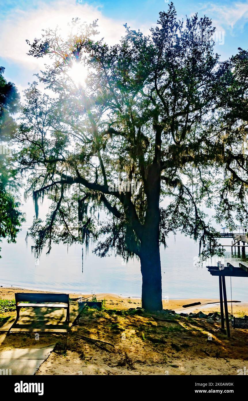 May Day Park offers a view of Mobile Bay, Sept. 8, 2022, in Daphne, Alabama. The park was founded in 1887 and is one of 13 parks in Daphne. Stock Photo