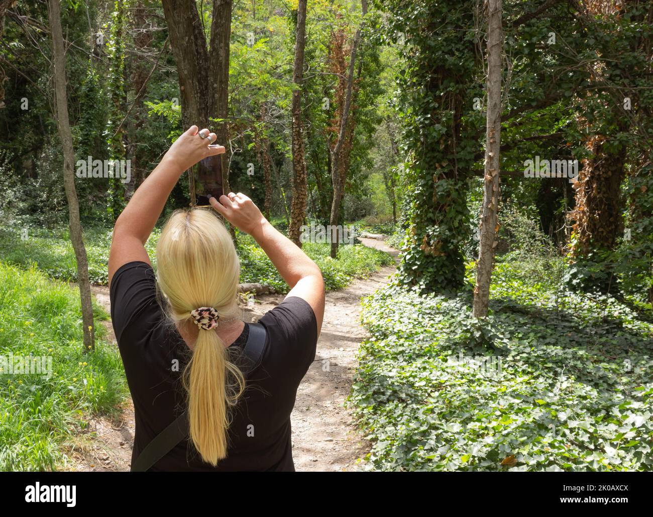 Blonde woman taking a picture in a forest. Stock Photo