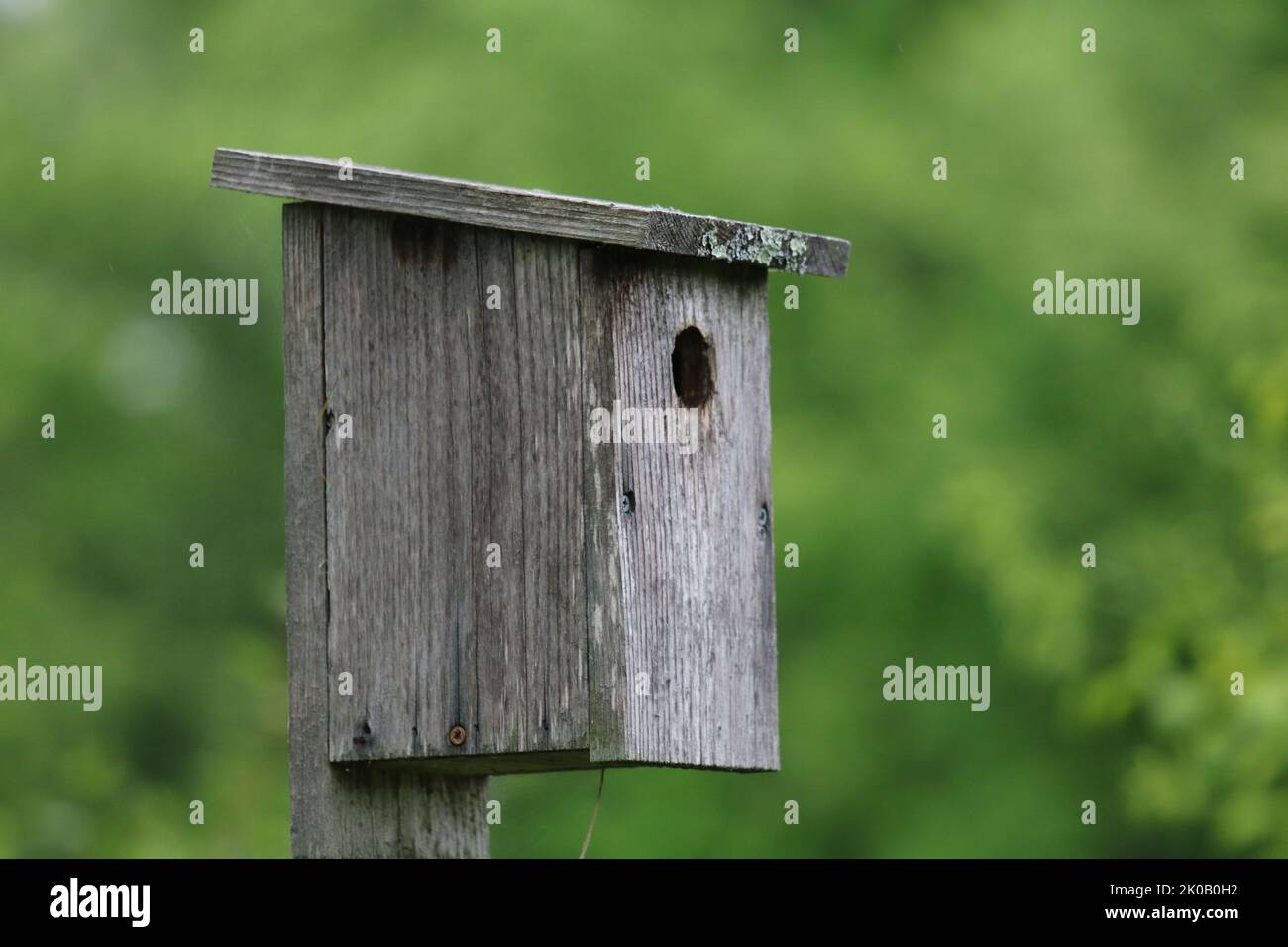 Old wooden birdhouse on a post, simple design to aid nesting birds find shelter to fledge their young in springtime Stock Photo