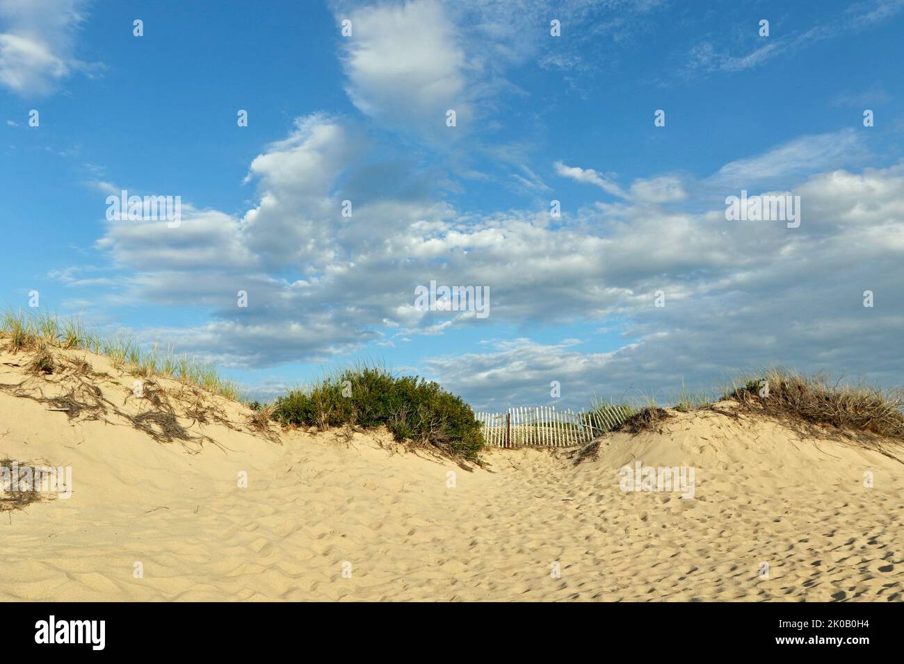 View of sand dunes on the dune shacks hike in Provincetown, Cape Cod, New England Stock Photo