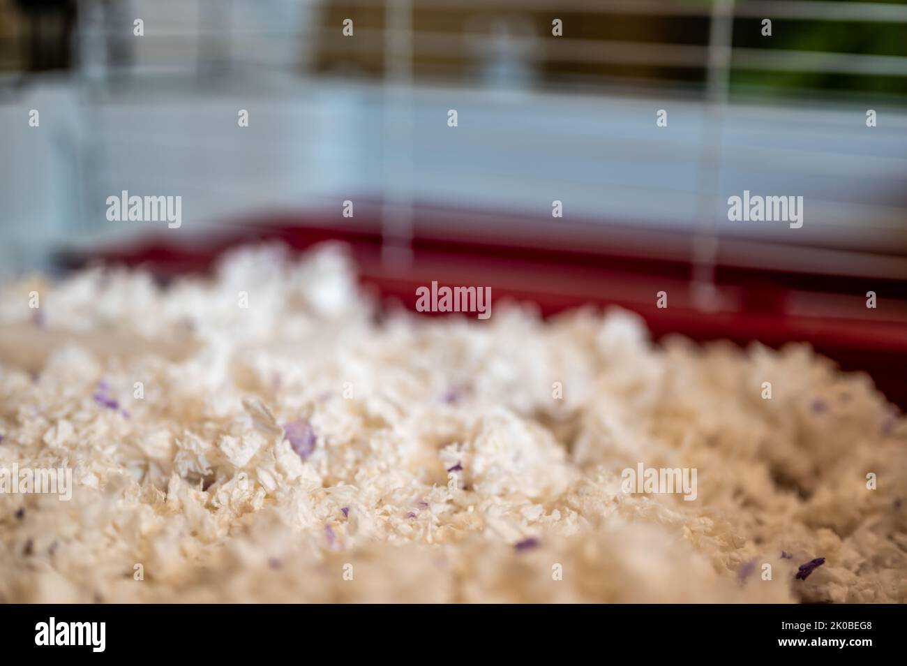 Small animal shredded bedding material inside a cage Stock Photo Alamy