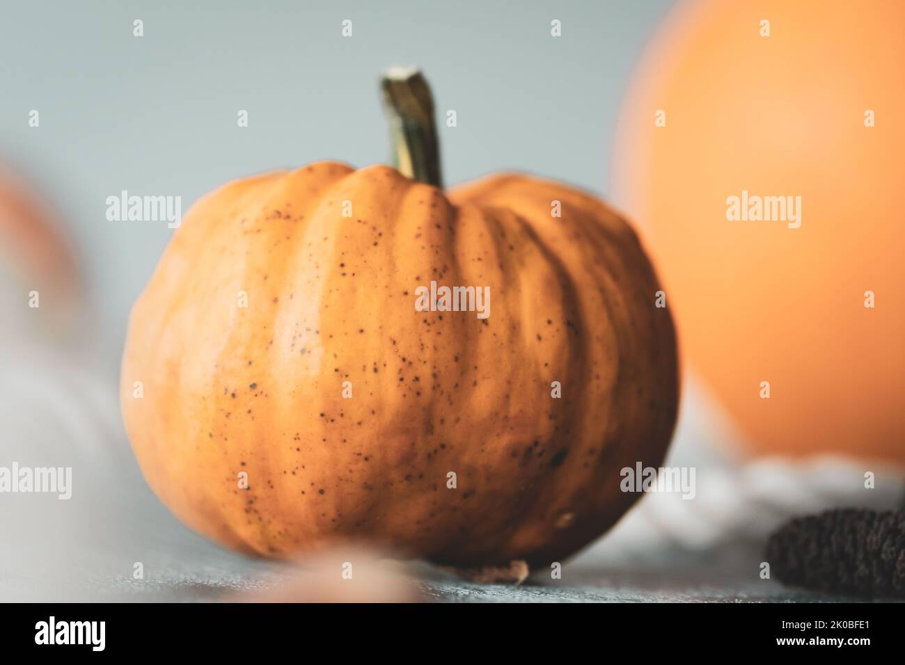 Fresh imperfect pumpkin on a tabletop with shallow depth of field in washed-out autumnal tones Stock Photo