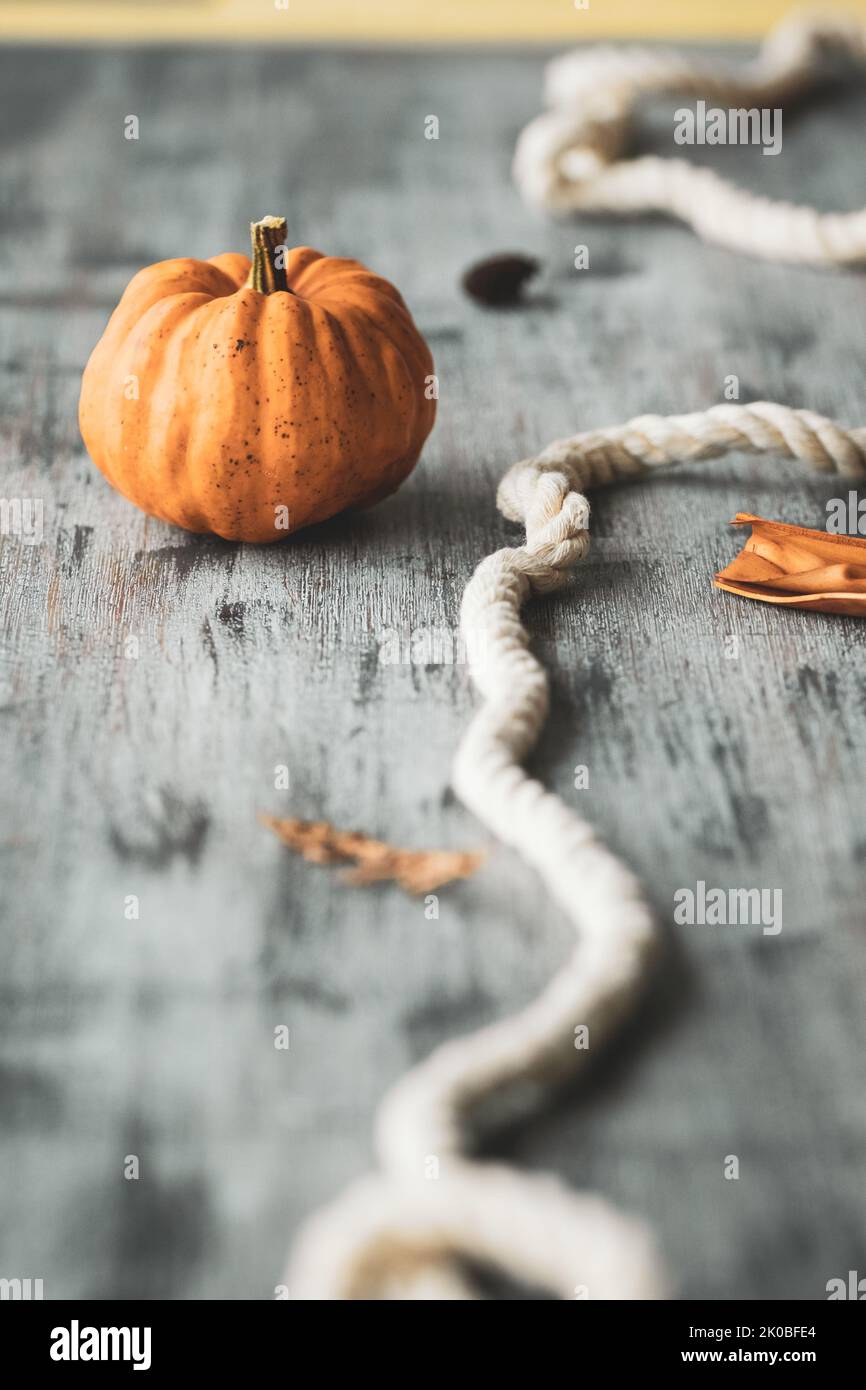Autumnal still life composition with a natural wonky pumpkin on a textured tabletop Stock Photo