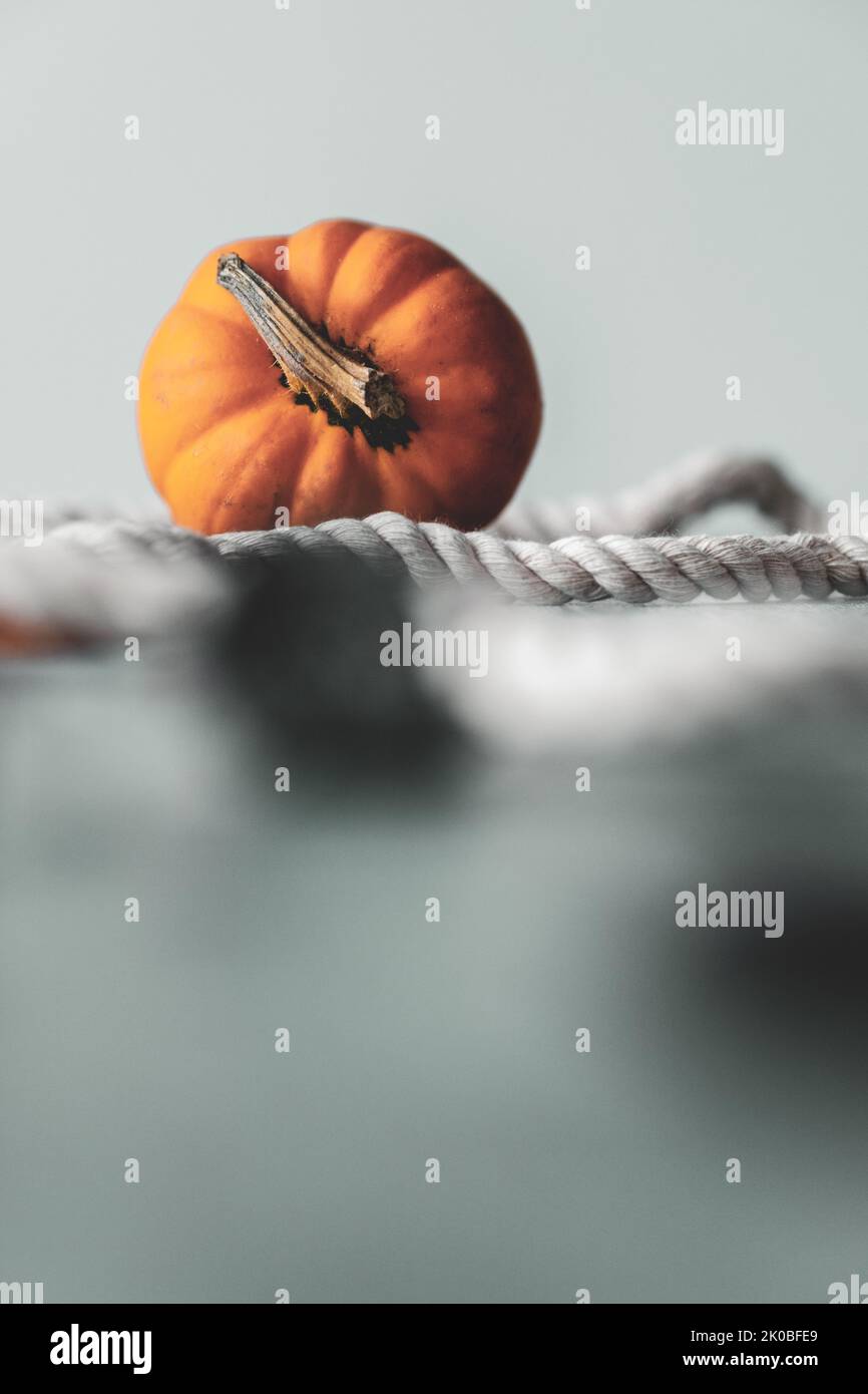 Small wonky pumpkin arranged with sail ropes. Creative use of soft focus and shallow depth of field in soft washed tones of grey and blue Stock Photo