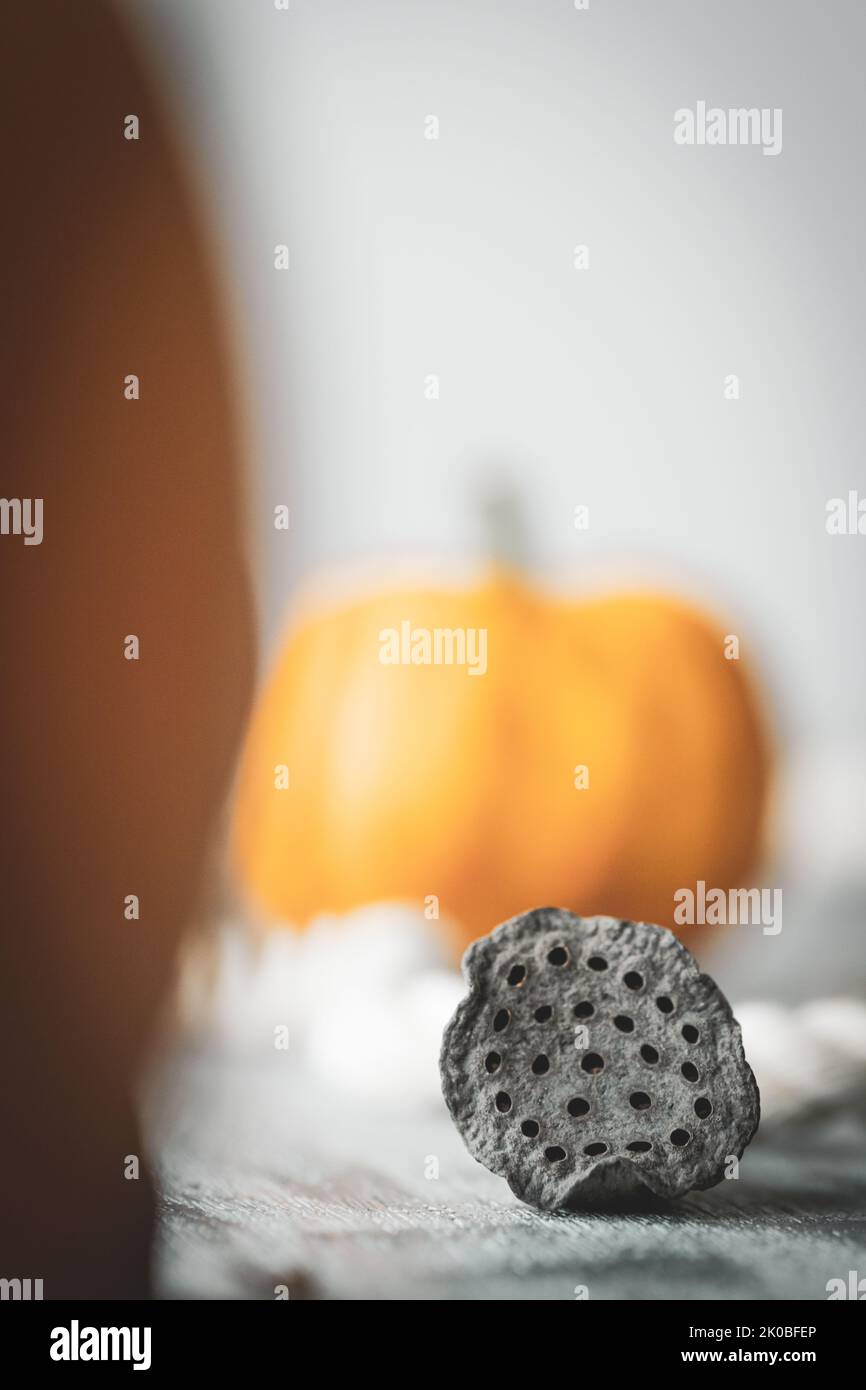 A close-up shot of dry flower pods arranged between two orange shapes of autumnal pumpkins. Creative use of shallow depth of field Stock Photo