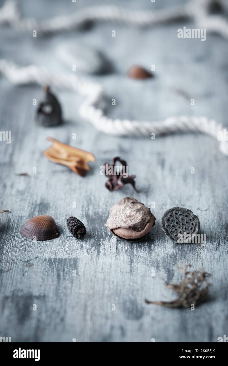 Collection of various autumnal objects arranged on the textured table top . Creative use of shallow depth of field Stock Photo
