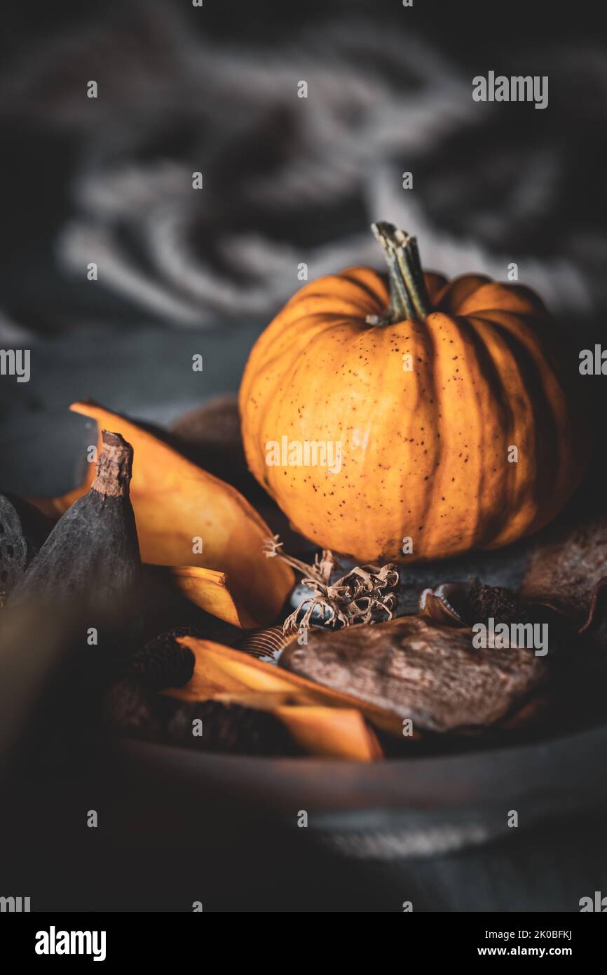 Autumnal arrangement of ripe fresh pumpkin,  dry flowers, and other organic dry objects on a rustic silver plate and grungy table top. Stock Photo