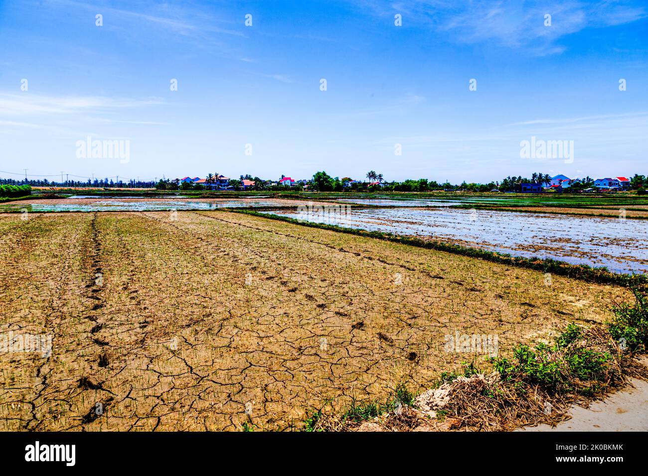 Drying ground on a rice farm field in Hoi An, Vietnam. The ground has