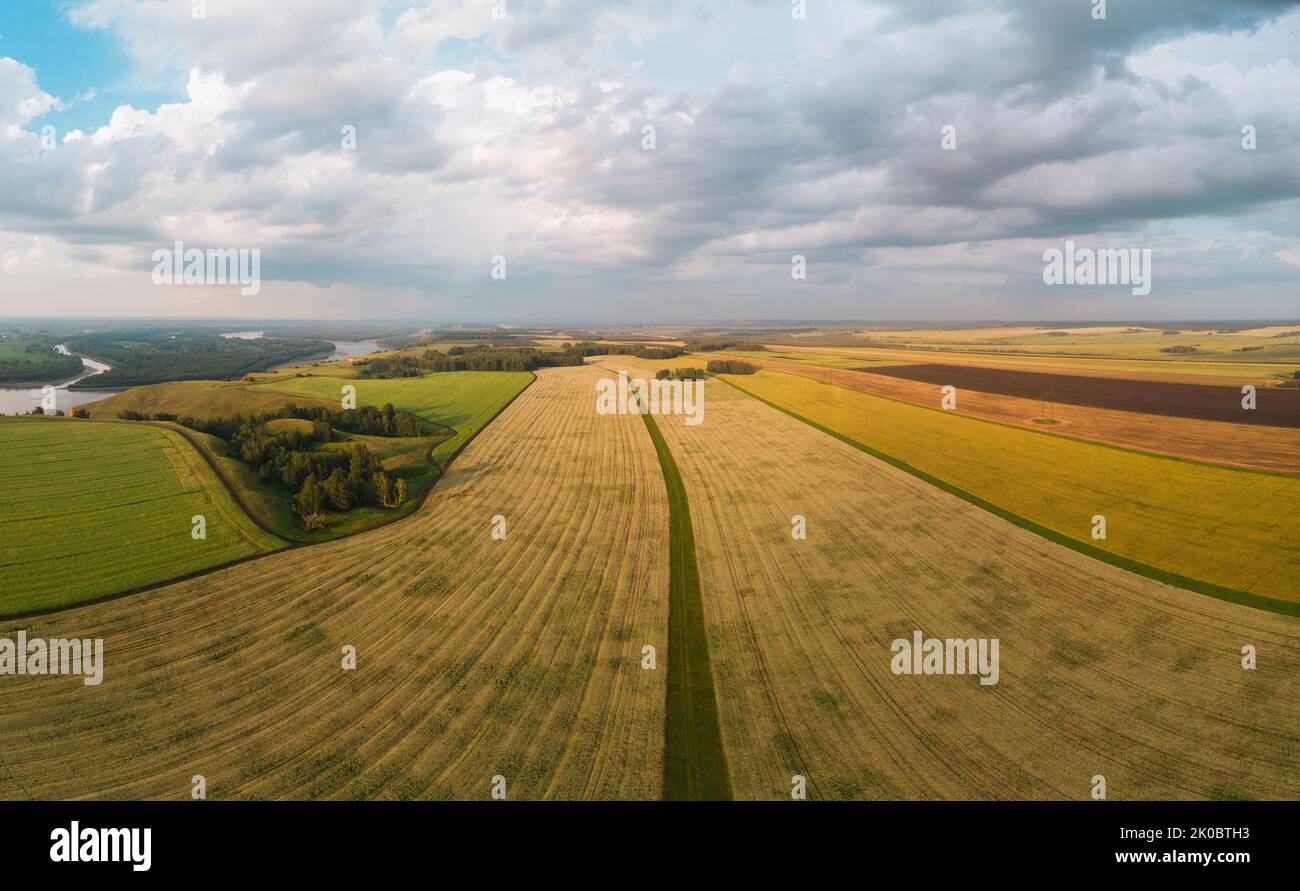 Flight over golden wheat field hi-res stock photography and images - Alamy