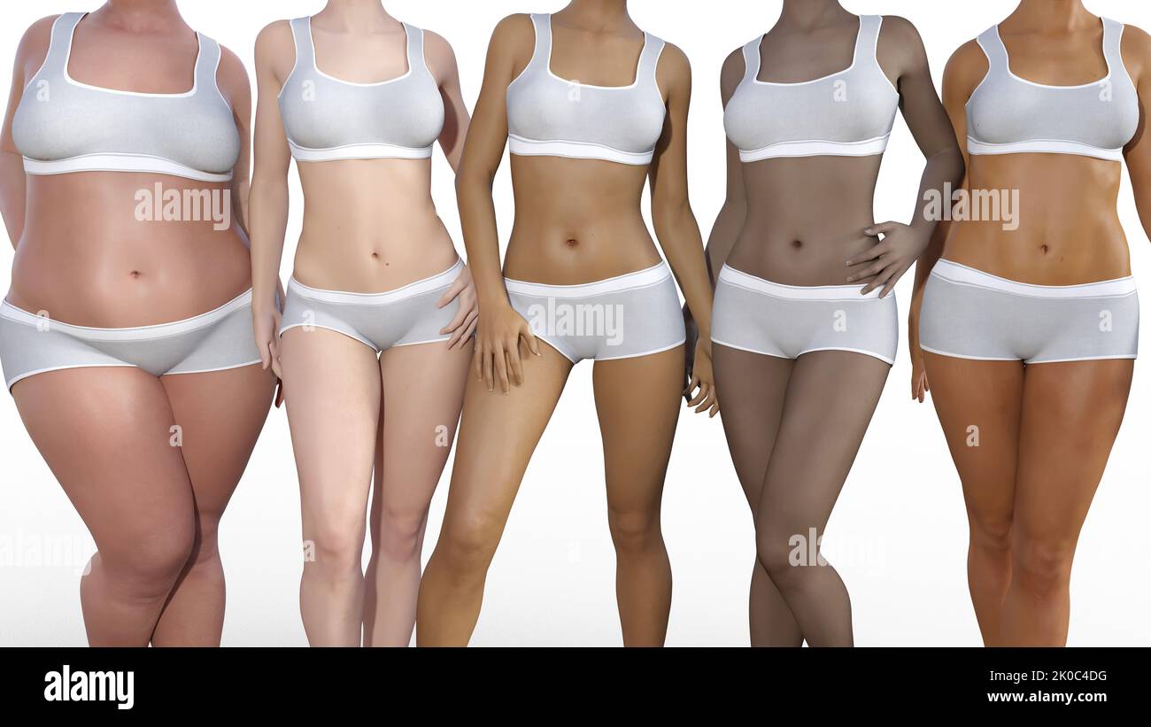 Body Types Assorted and Diverse Range of Women Stock Photo