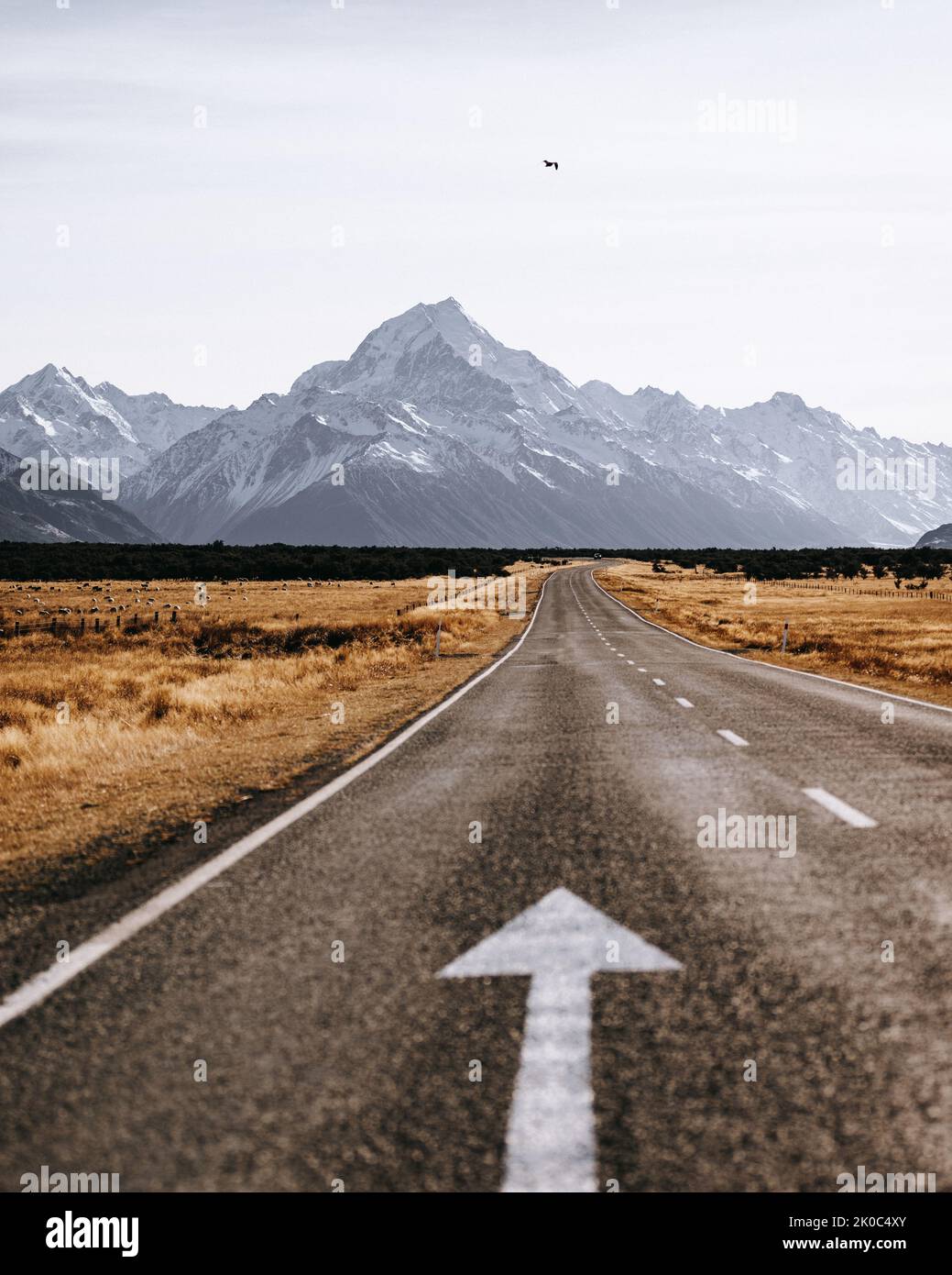 View of the majestic Aoraki Mount Cook with the road leading to Mount Cook Village. Taken during winter in New Zealand. Stock Photo