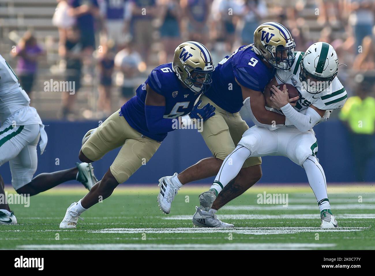 Seattle, WA, USA. 10th Sep, 2022. Washington Huskies linebacker Kristopher Moll (9) brings down a PSU ball carrierduring the NCAA Football Game between the Washington Huskies and Portland State Vikings at Husky Stadium in Seattle, WA. Steve Faber/CSM/Alamy Live News Credit: Cal Sport Media/Alamy Live News Stock Photo