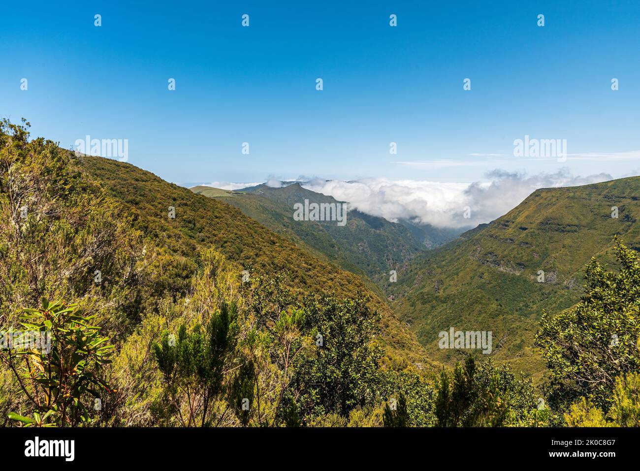 Hills parly covered by clouds from Levada do Alecrim near Rabacal in Madeira Stock Photo