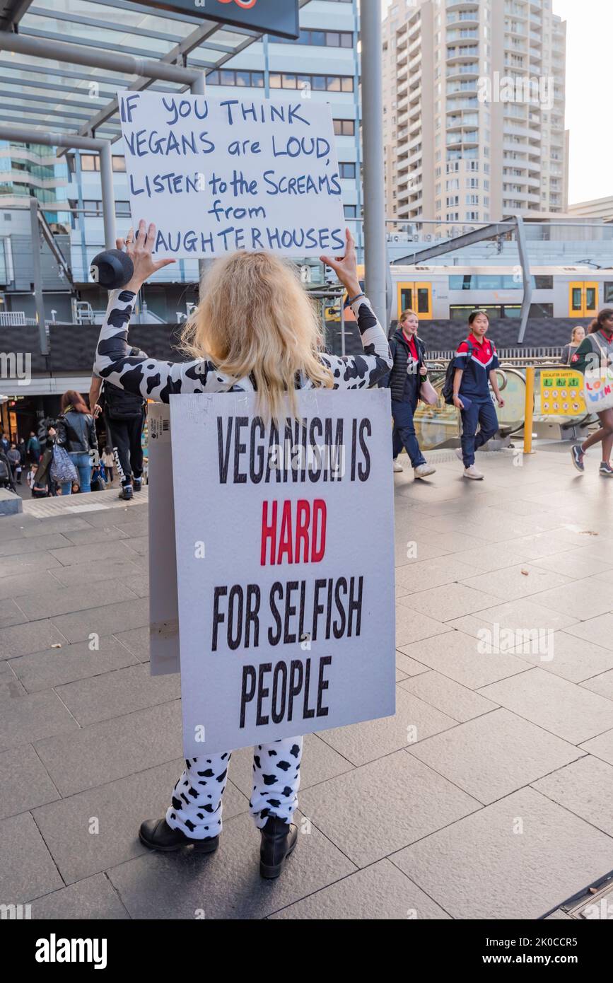 A lone woman vegan protester wearing a sandwich board and holding a placard with her mouth taped over. The activist was asked to move on by police Stock Photo