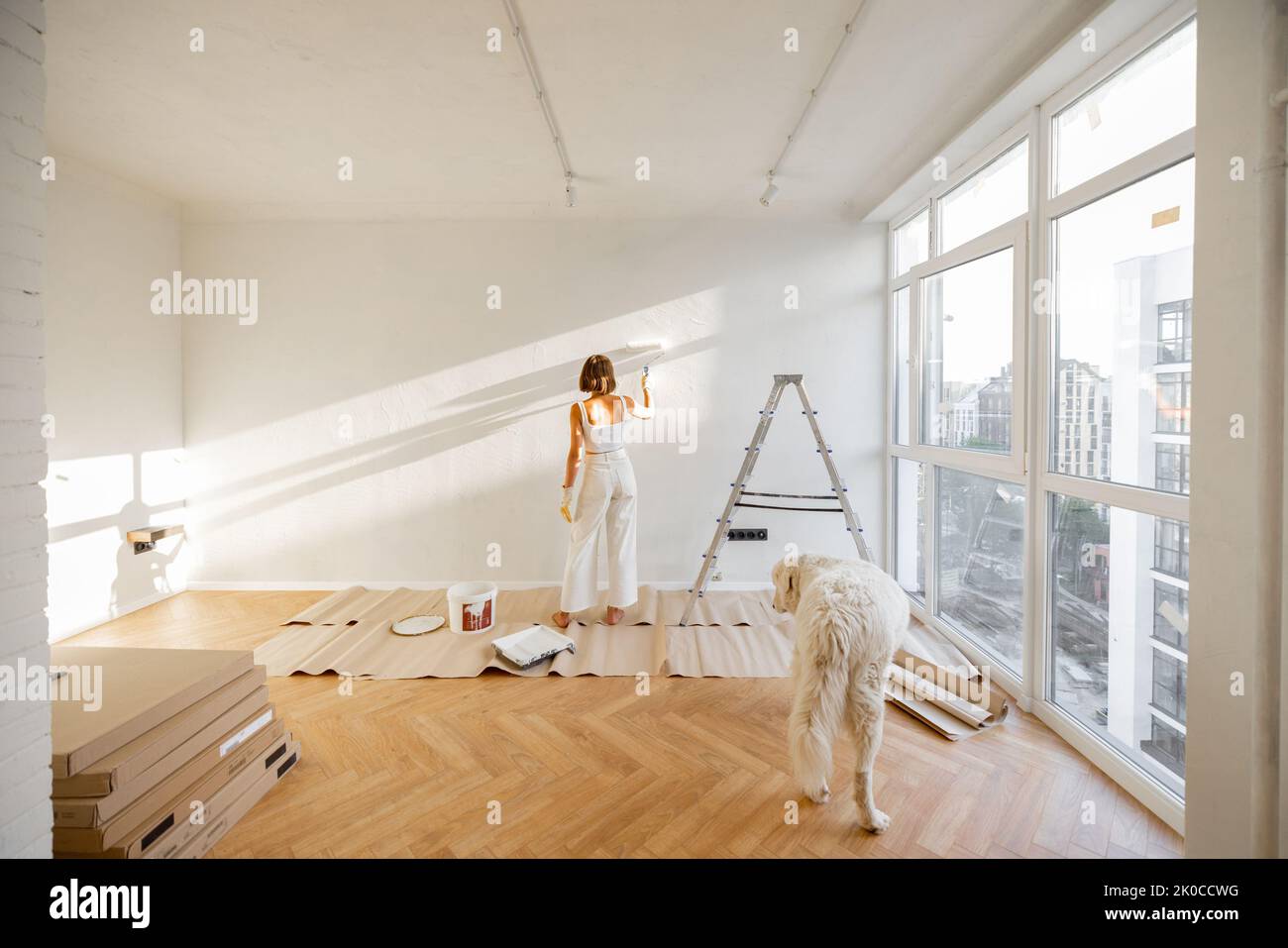 Woman with her dog paints the wall in white color, making repairment in newly purchased apartment. Repair and house renovation concept Stock Photo