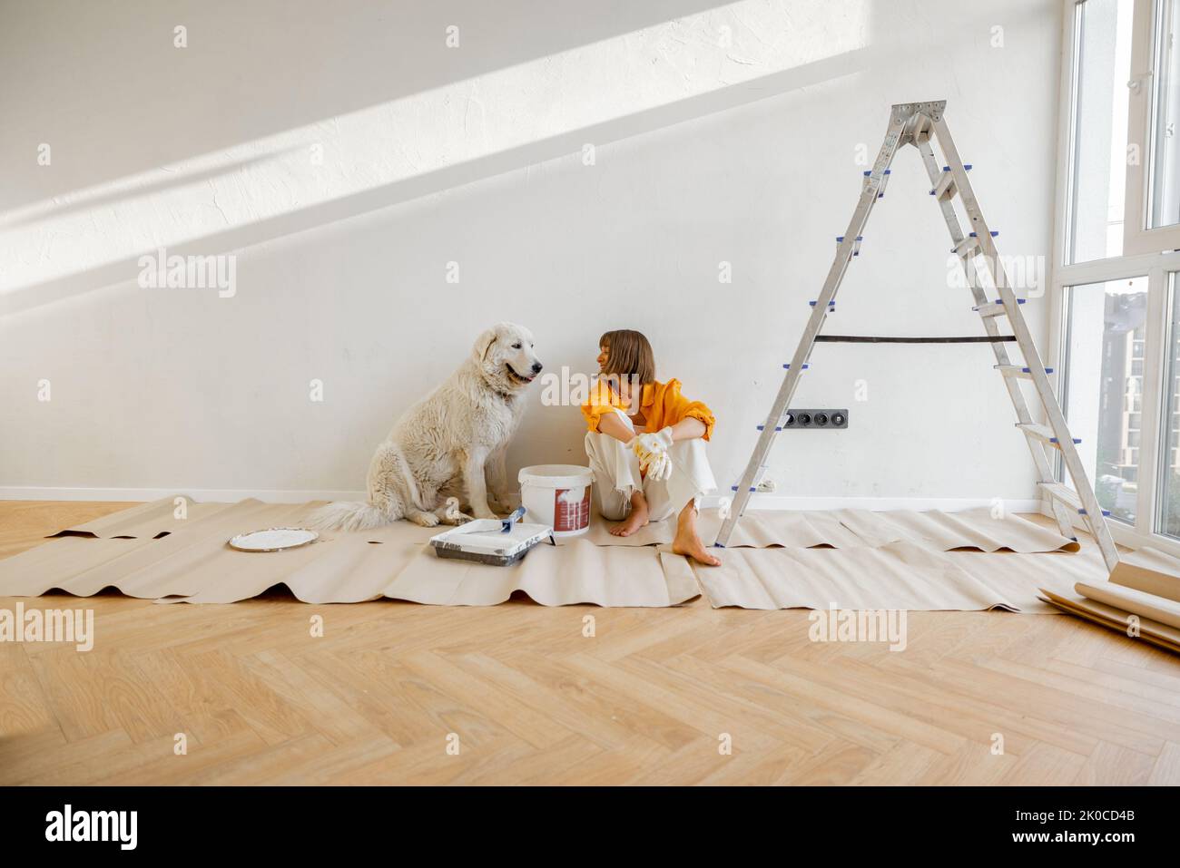 Young woman sits with her dog in room while making repairing in apartment. Repair and house renovation concept, friendship with pet Stock Photo