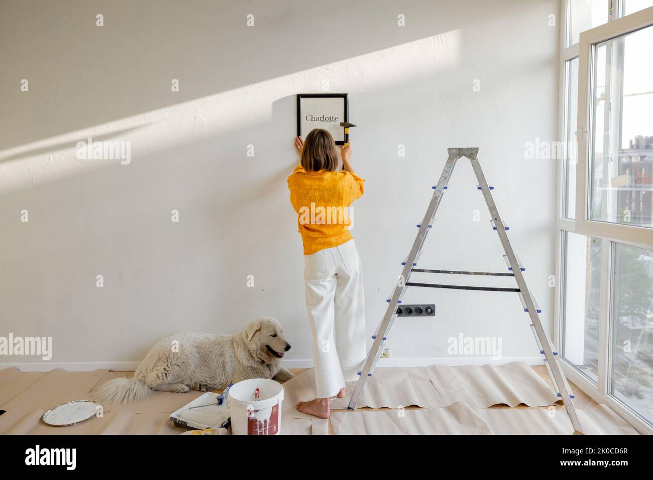Young woman hanging picture frame in room, decorating her newly renovated apartment, stands with her dog in white room Stock Photo