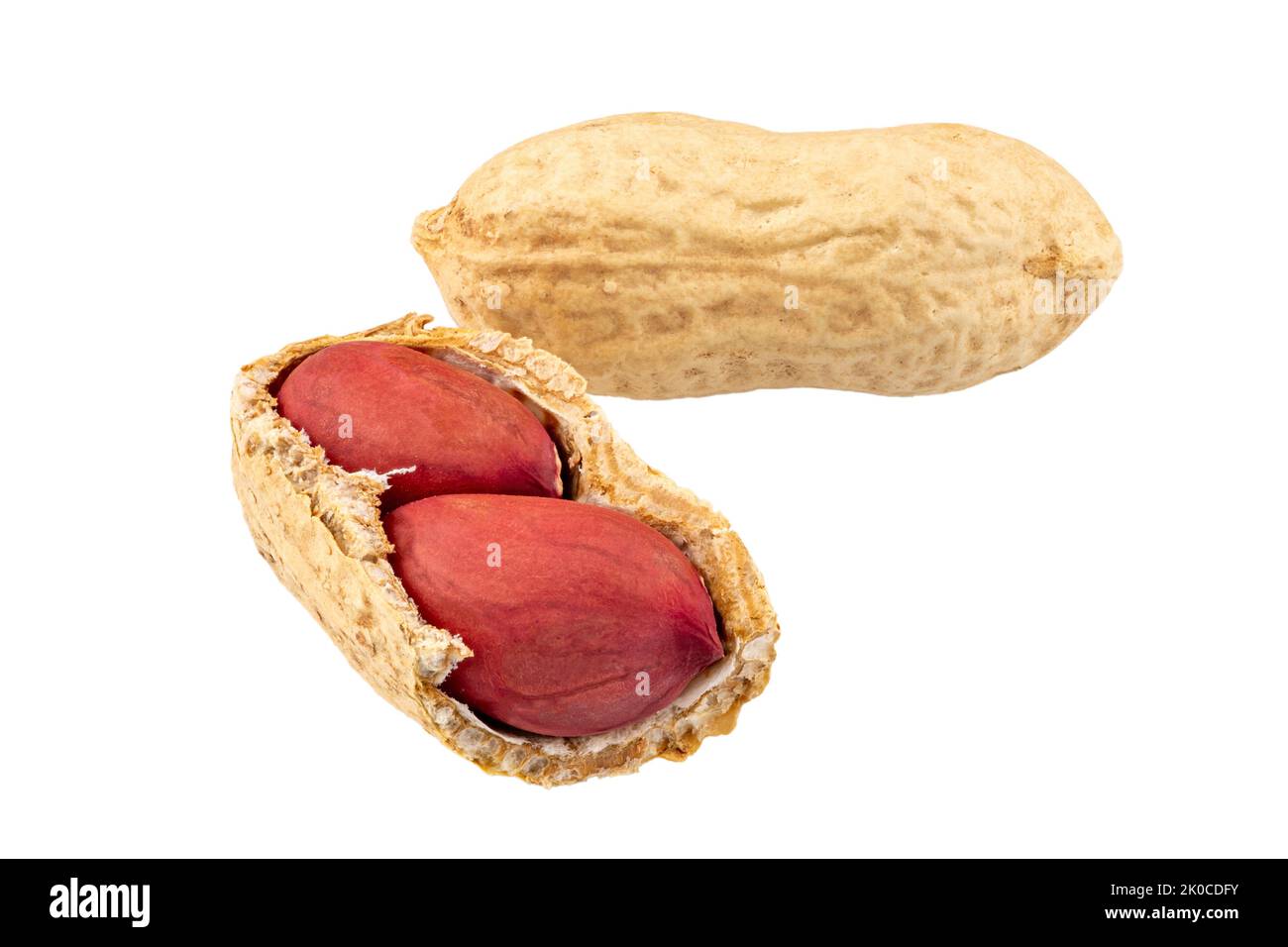 Group of peanuts isolated on white background. File contains clipping