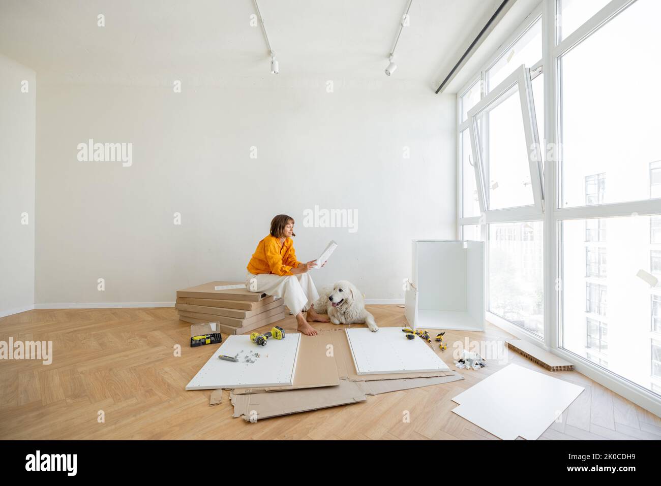 Young woman assembles furniture by herself, sitting with dog near window and reading manual at new apartment. Wide view with copy space Stock Photo