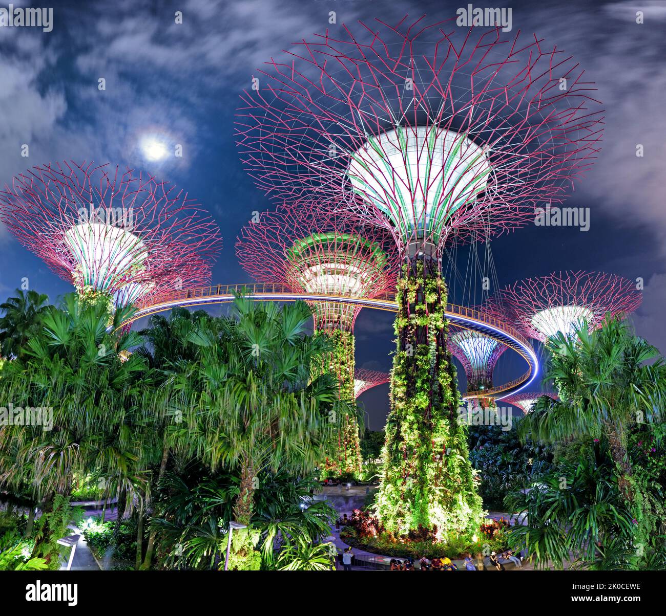 Supertree garden at night, Garden by the Bay, Singapore Stock Photo