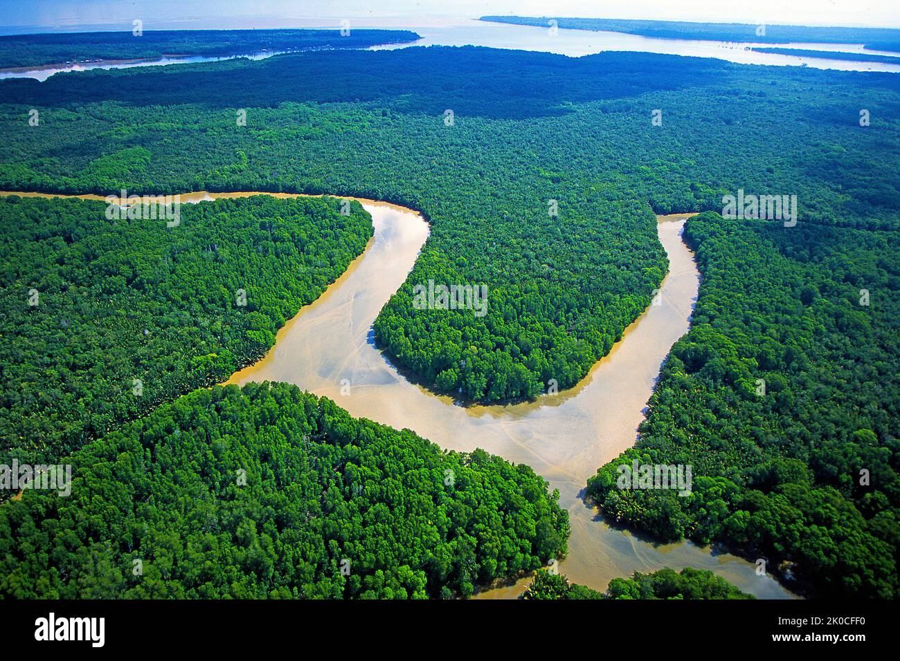 River at rain forest, Kalimatan, Borneo, Malaysia, Asia Stock Photo
