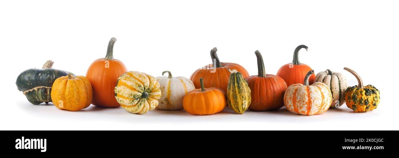Many various pumpkins in a row isolated on white background, Halloween or Thanksgiving day concept Stock Photo