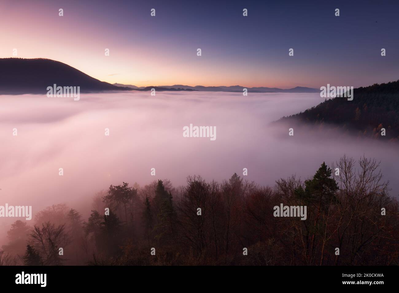 Sea fog in the pink light is very beautiful and fabulous, picturesque vague wave rolled on the slopes of the peaks Stock Photo