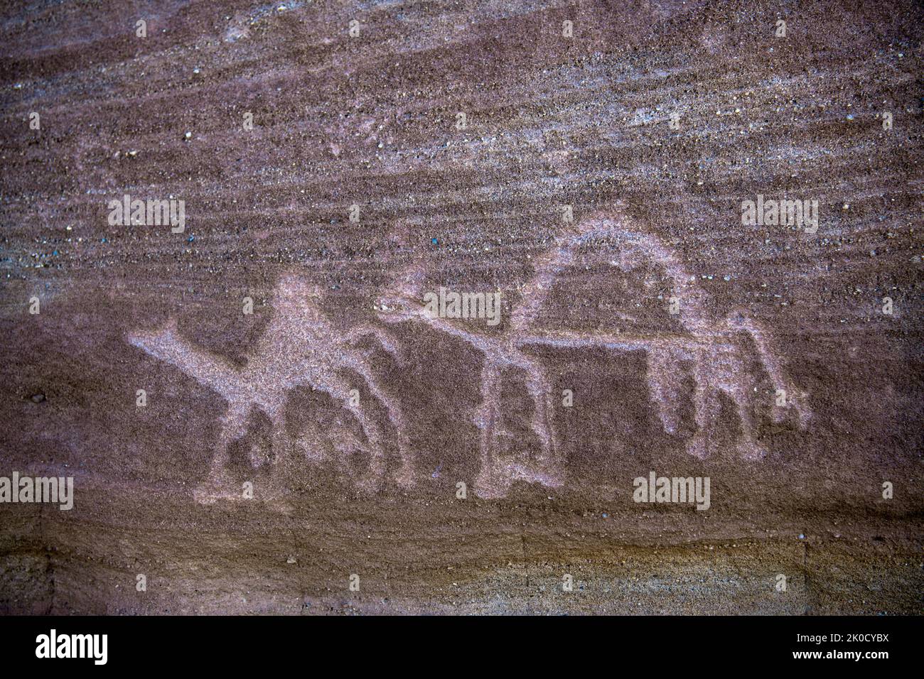 Two Thamudic camels  4th century BC Jabal Ithlib Hegra Saidi Arabia Stock Photo