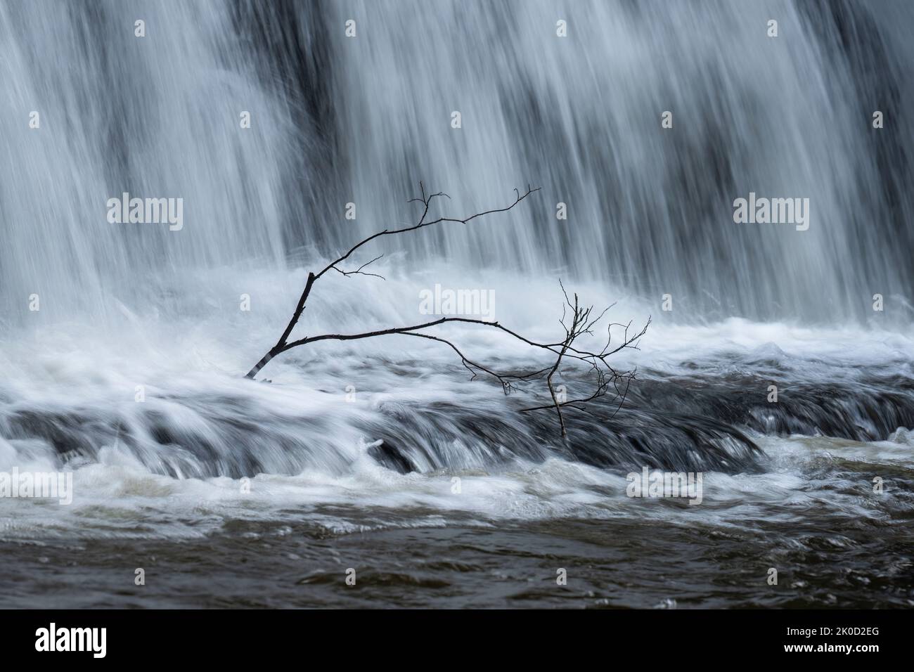 A tree branch among gushing waters of Purakaunui Falls, Catlins, South Island. Stock Photo